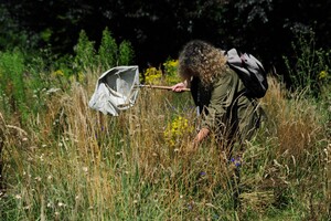 lezing-spinnen lezing-spinnen