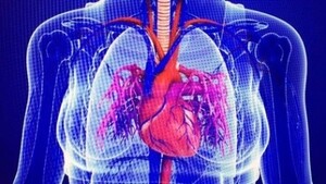 vrouwenhart vrouwenhart